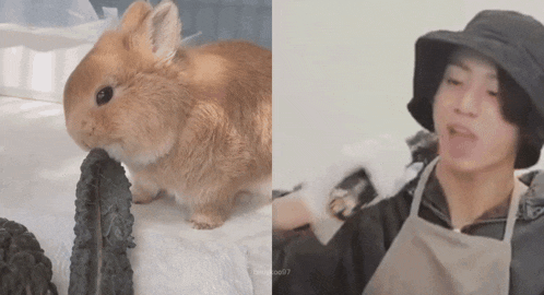 a rabbit is sitting next to a man wearing a hat .