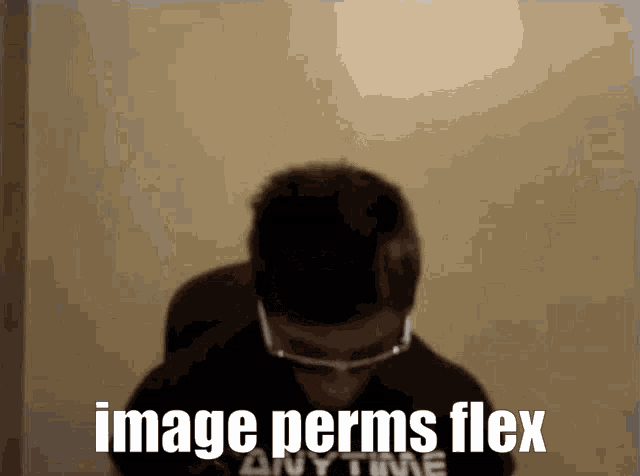 Image Perms Flex No Image Perms GIF - Image Perms Flex Image Perms No Image Perms GIFs
