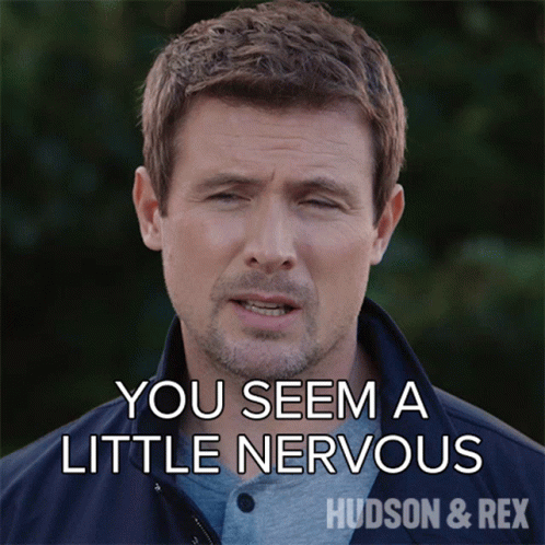 You Seem A Little Nervous Charlie Hudson GIF - You Seem A Little Nervous Charlie Hudson Hudson And Rex GIFs