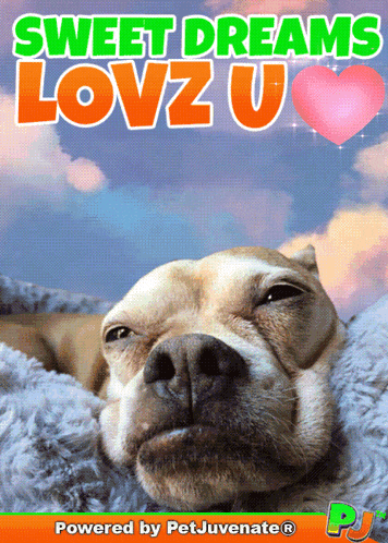a poster with a dog and the words sweet dreams lovzu