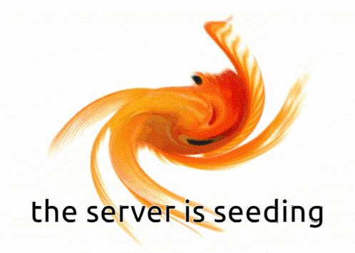 a picture of an orange swirl with the words the server is seeding below it