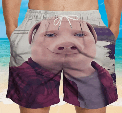 a man wearing swim trunks with a picture of a pig on the front
