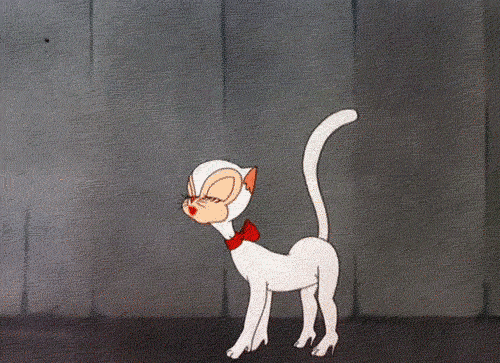 Haters Gonna Hate GIF - Cat Cartoon Animated GIFs