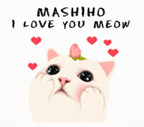 Mashmellow Cat GIF - Mashmellow Cat Love GIFs