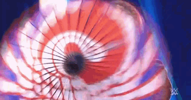 a close up of a red , white and blue fan on a dark blue background .