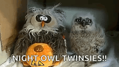 Boogy Owl GIF - Boogy Owl Owls GIFs