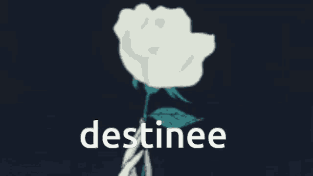 the word destinee is on a black background with a white rose