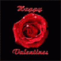 a red rose on a black background with the words happy valentine 's on it
