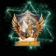 a logo with a hand holding a microphone and a shield with wings and the words ' pahani ' on it