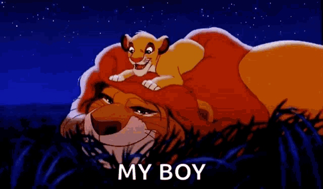 a lion and a cub from the lion king are laying in the grass with the words my boy below them