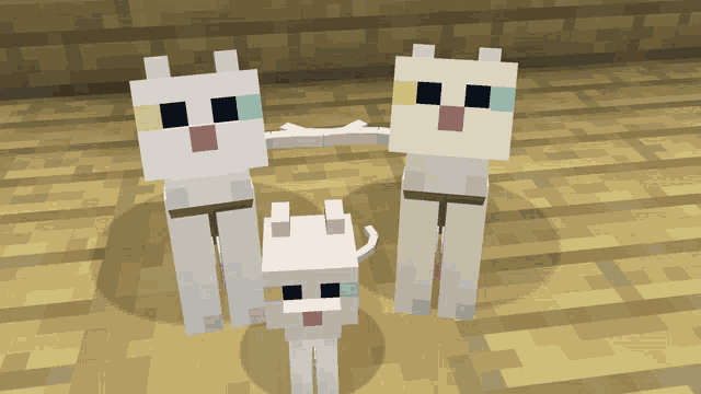 a family of white cats are standing next to each other on a wooden floor
