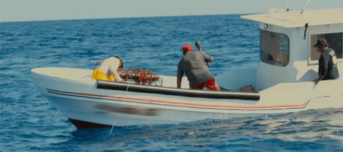 Hammering Illegal Shark Killing GIF - Hammering Illegal Shark Killing Boat GIFs