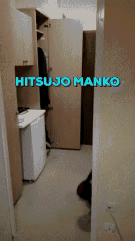 a picture of a room with the words hitsujo manko written on it
