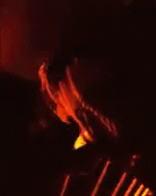 Luiji Truite Party Hard GIF - Luiji Truite Party Hard Hyped GIFs