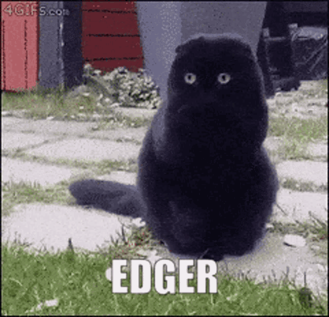 Edger Edgar GIF - Edger Edgar Secs GIFs