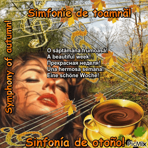 a picture of a woman and a cup of coffee with the words symphony of autumn