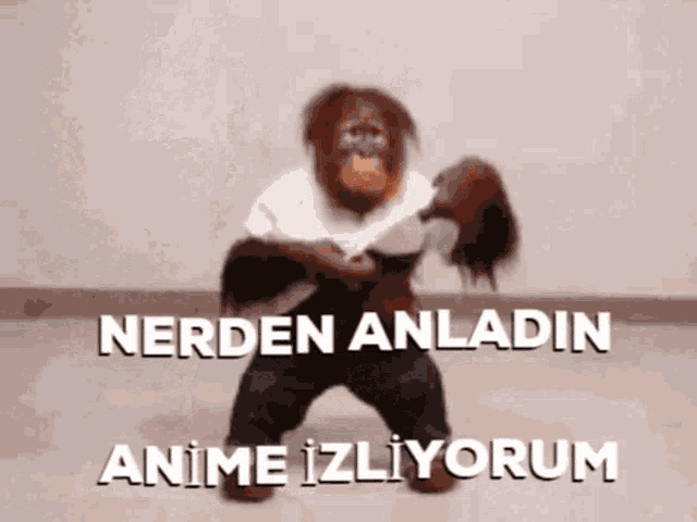 a monkey is holding a person 's head and says " nerden anladin anime izliyorum "