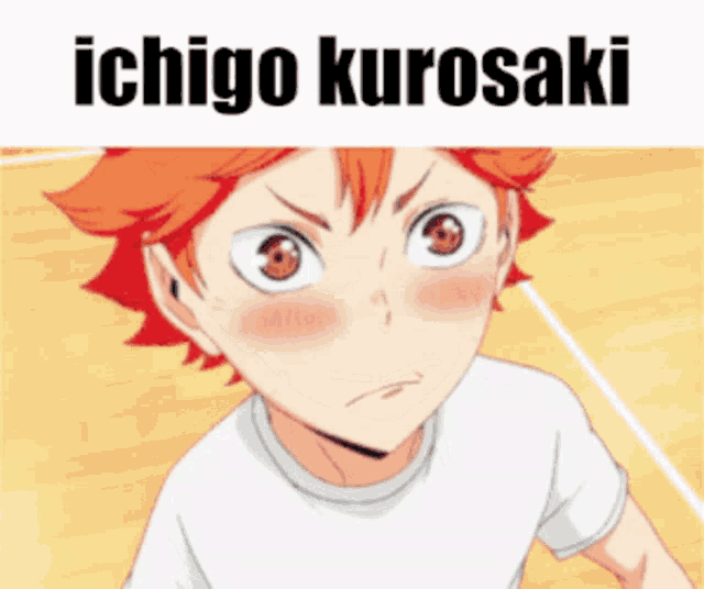 a picture of a boy with the name ichigo kurosaki
