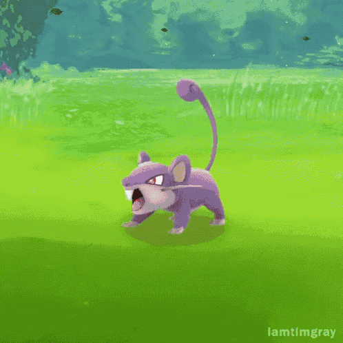 Rattata GIF - Pokemon Go Rattata GIFs