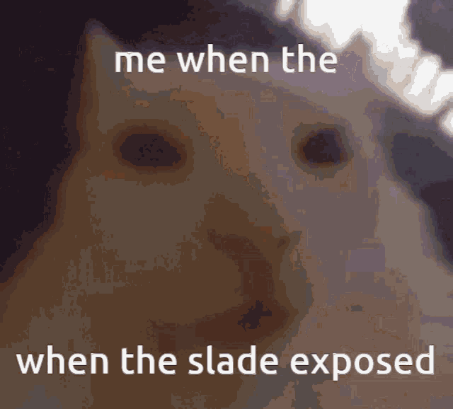 a picture of a cat with the words me when the when the slade exposed below it