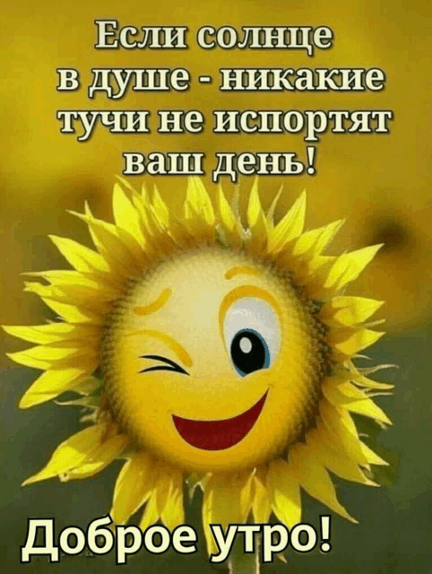 a picture of a sunflower with a smiley face on it in russian