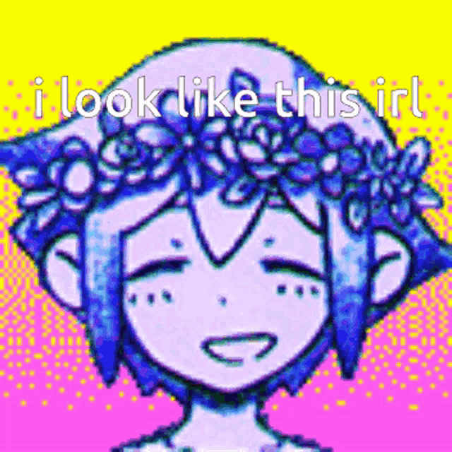 a pixel art drawing of a girl with a flower crown on her head and the words `` i look like this irl '' .