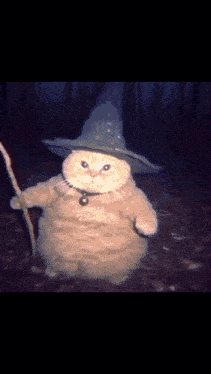 a cat wearing a witch hat and holding a staff