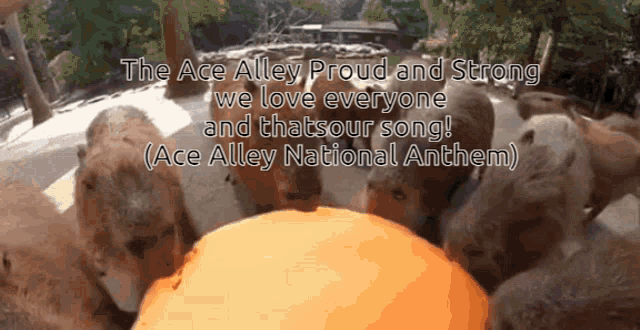Acevalr Acealley GIF - Acevalr Acealley Theacealley GIFs