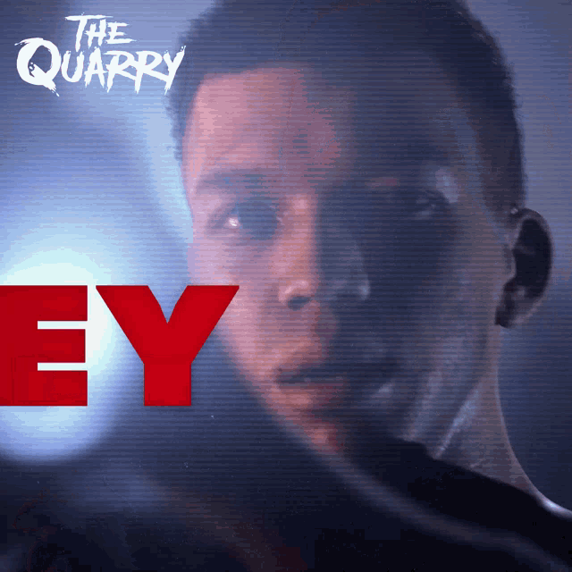 The Quarry Reaction GIF - The Quarry Reaction Love GIFs