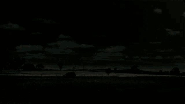 a dark landscape with trees in the foreground and a cloudy sky in the background