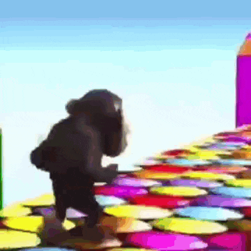 a chimpanzee is standing on a rainbow colored carpet .