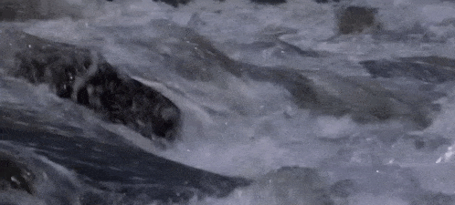 a close up of a river with waves crashing on a rock .