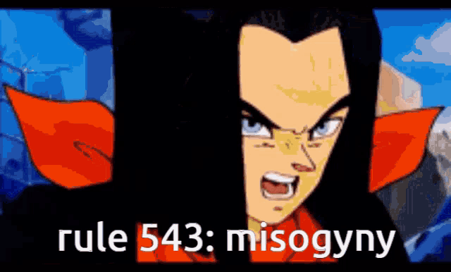 a picture of a cartoon character with the words rule 543 misogyny on the bottom