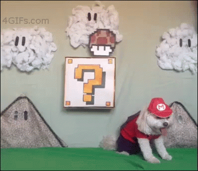 Super Mario Dog GIF - Dogs Mushroom GIFs