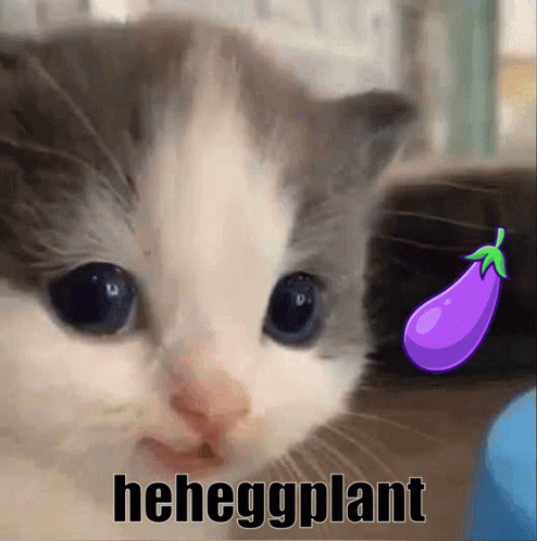 Hehe Eggplant GIF - Hehe Eggplant Hehe Cat GIFs