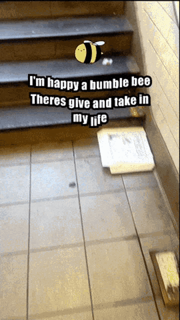 Jay Mandel Bumble Bee GIF - Jay Mandel Bumble Bee Stairs GIFs