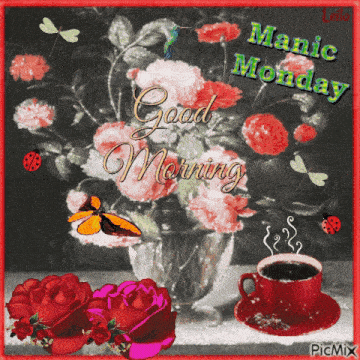 Manic Monday GIF - Manic Monday GIFs