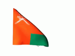 Oman Flag GIF - Oman GIFs