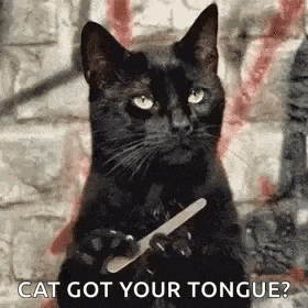 a black cat is holding a nail file in its paws and asking if the cat got your tongue .