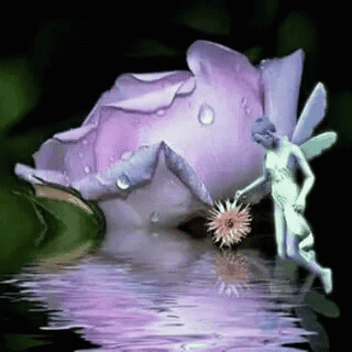Flower Fairy GIF - Flower Fairy Water GIFs