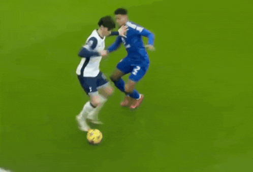 two soccer players are fighting over the ball on the field .