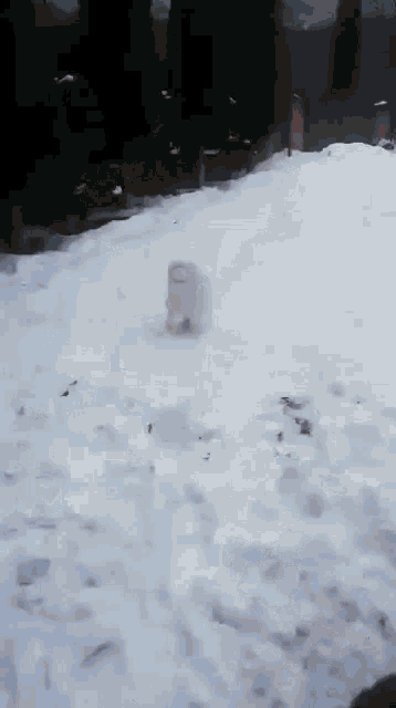 a person is standing in the snow with a white object in the background