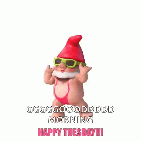 Happy Tuesday Gnome GIF - Happy Tuesday Gnome GIFs