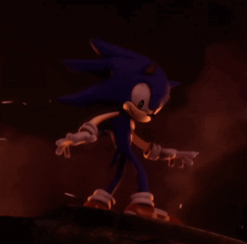 a cartoon character named sonic the hedgehog is standing on a rock