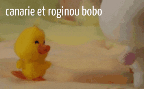 a picture of a stuffed animal with the words canarie et roginou bobo on it