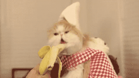 a cat wearing a hat is eating a banana while being held by a person .