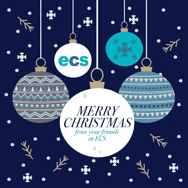 merry christmas from your friends at ecs written on a blue background