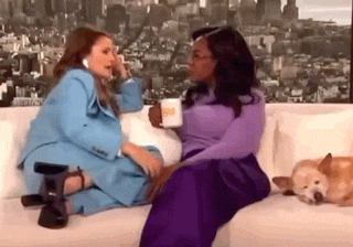 two women are sitting on a couch with a dog . one of the women is holding a cup of coffee .