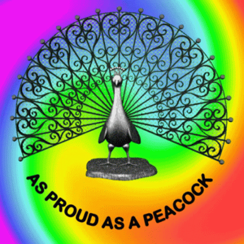 As Proud As A Peacock Proud GIF - As Proud As A Peacock Proud Proud Of You GIFs