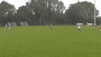 a group of soccer players are playing on a field